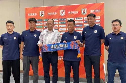 徐江最新爆料泰山,泰山背后的神秘生成之谜  第2张